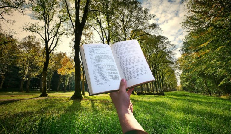 book, hand, reading